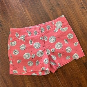 Ann Taylor Loft Women’s Shorts